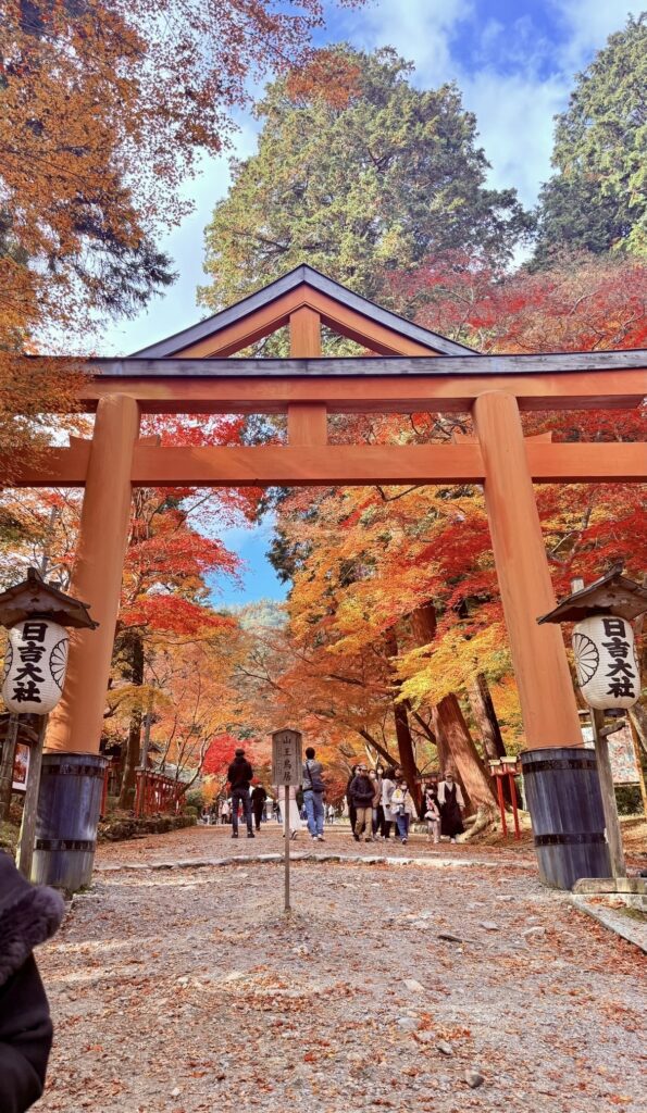 神社仏閣巡りの写真2
