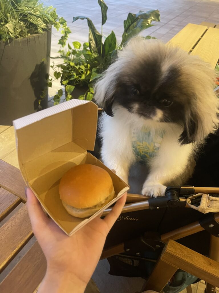 休日の写真