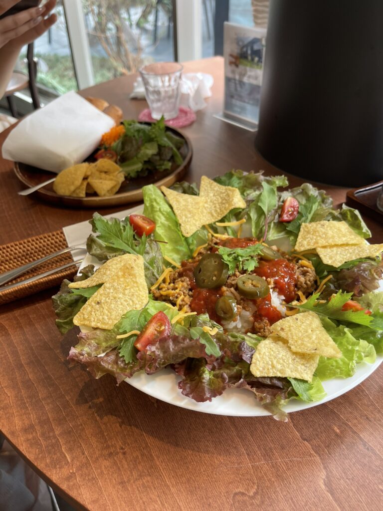 お気に入りのご飯1