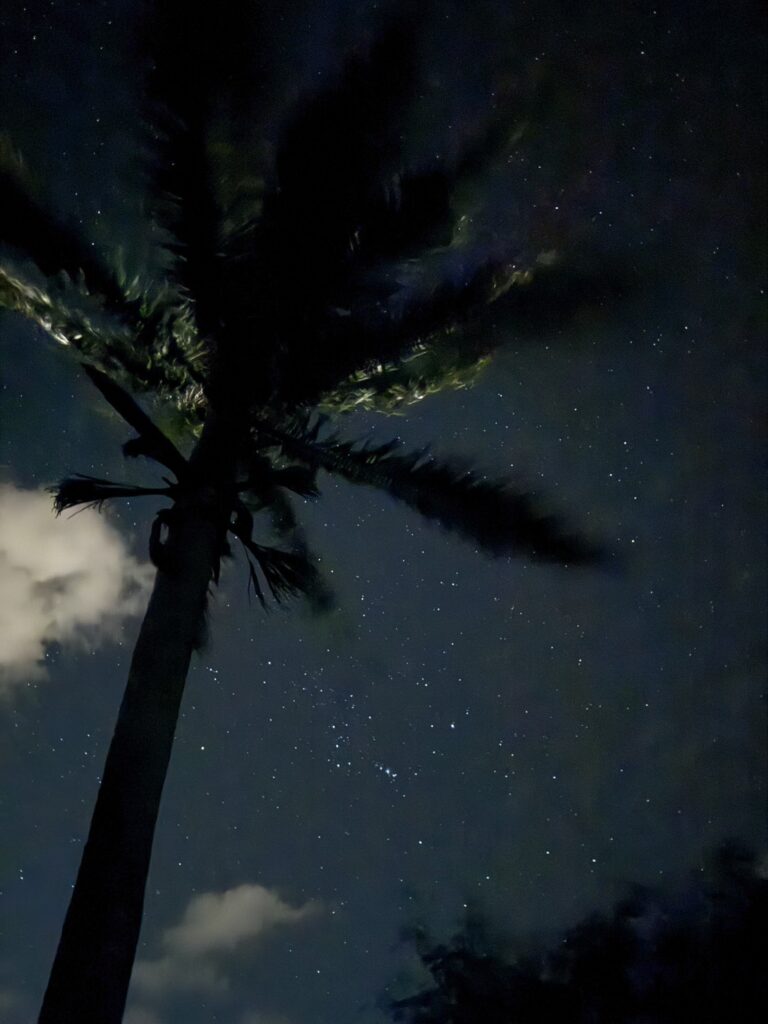 石垣島の写真1
