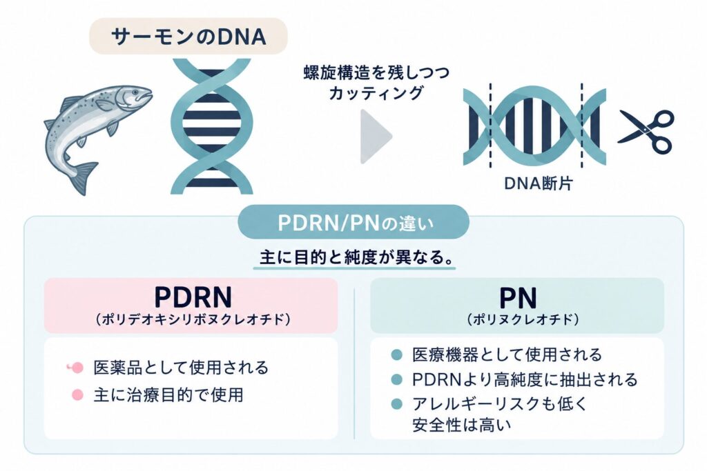 PNの組織修復