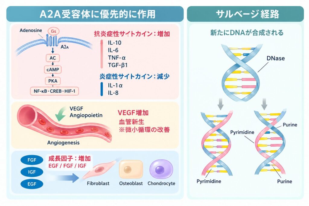 PNの水分環境